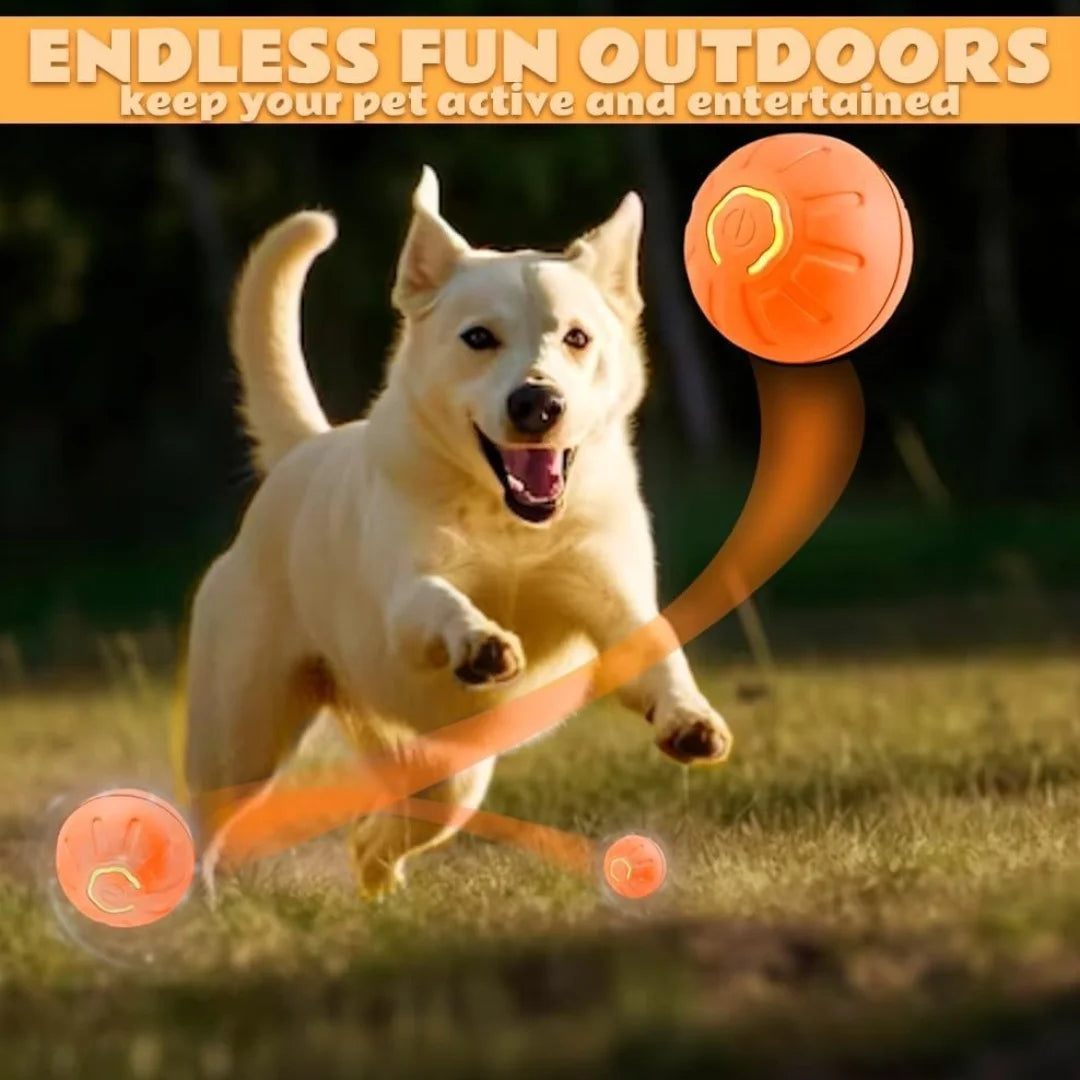 Nestora MotionJoy – Smart Gravity Pet Ball | Electric Amusement Toy for Cats & Small Dogs