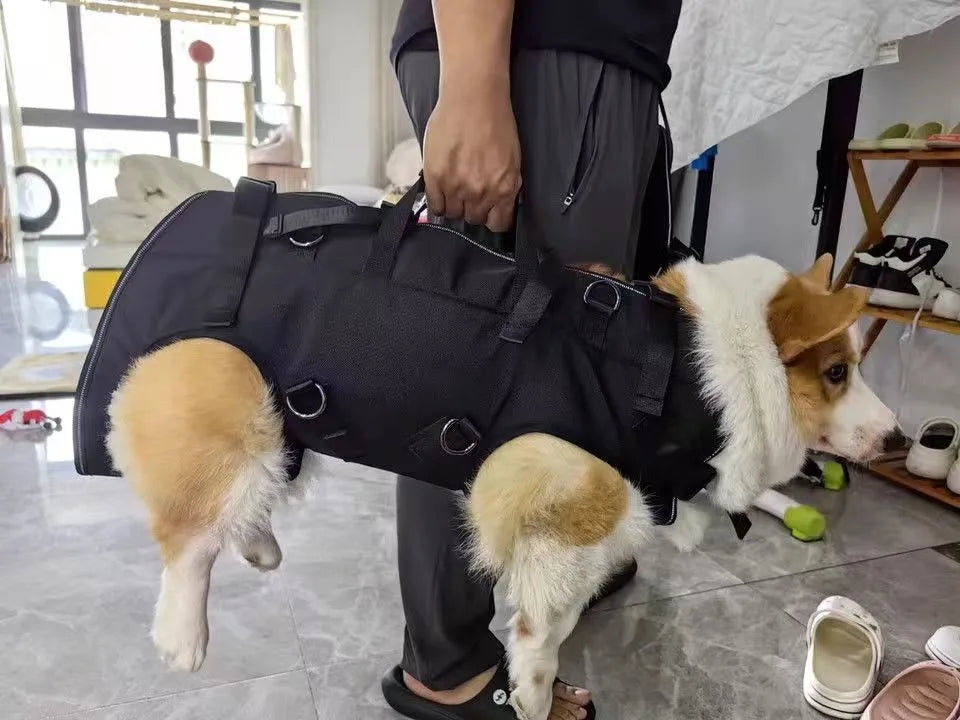 Nestora TrailTote – Outdoor Pet Travel Backpack | Durable Shoulder Carrier for Cats & Small Dogs (3 Sizes)