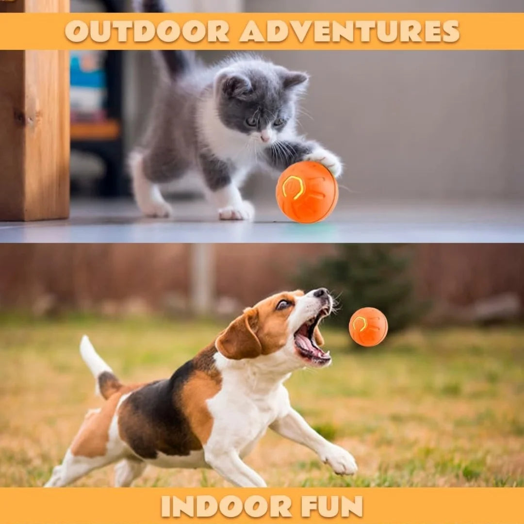 Nestora MotionJoy – Smart Gravity Pet Ball | Electric Amusement Toy for Cats & Small Dogs