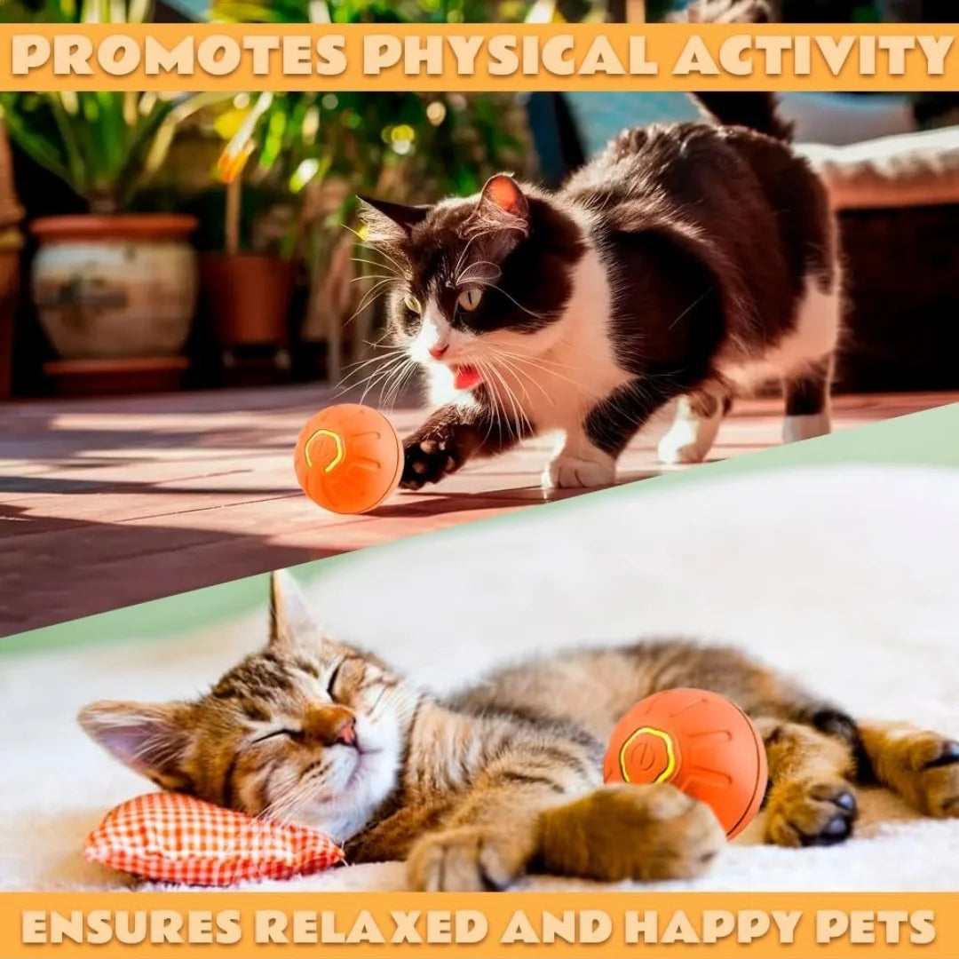 Nestora MotionJoy – Smart Gravity Pet Ball | Electric Amusement Toy for Cats & Small Dogs