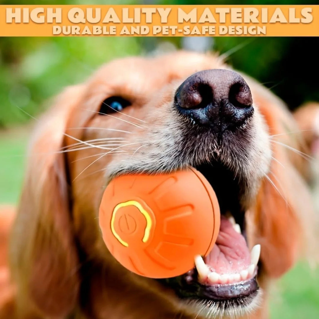 Nestora MotionJoy – Smart Gravity Pet Ball | Electric Amusement Toy for Cats & Small Dogs