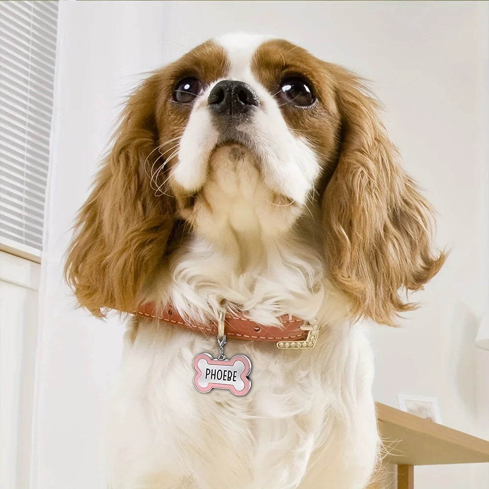 Nestora Identity Tag – Personalized Slide-On ID for Dogs & Cats