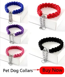 Nestora SteelSafe Tag – Engraved Pet ID for Dogs & Cats