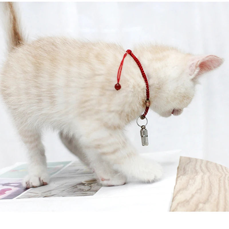 Nestora SteelSafe Tag – Engraved Pet ID for Dogs & Cats