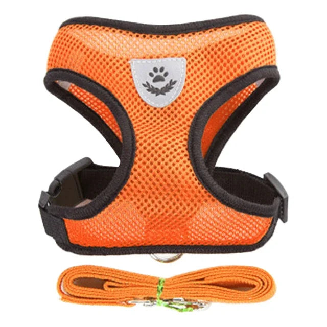 Nestora PurrStride – Escape-Proof Cat Harness Vest with Leash | Breathable & Adjustable