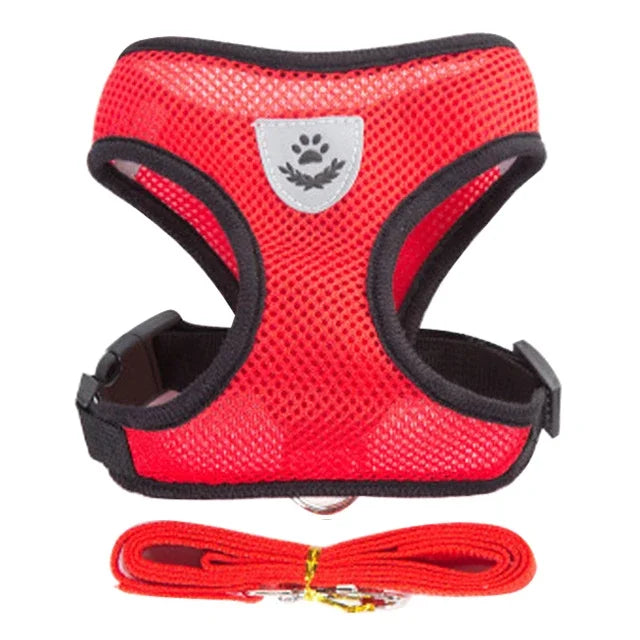 Nestora PurrStride – Escape-Proof Cat Harness Vest with Leash | Breathable & Adjustable