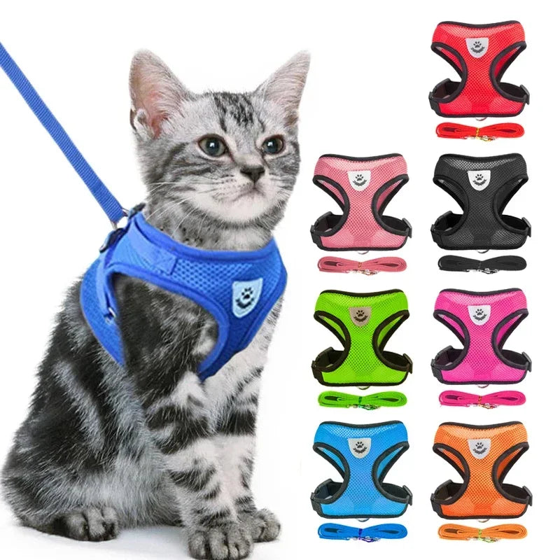 Nestora PurrStride – Escape-Proof Cat Harness Vest with Leash | Breathable & Adjustable